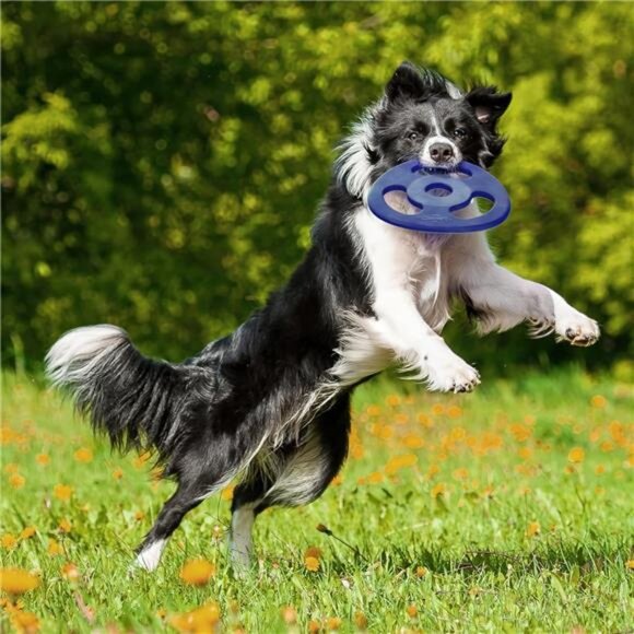 SuperChewy Tough Tug-of-War Flying Disc Toy | Strong Natural Rubber | Great Tug - Picture 4 of 6